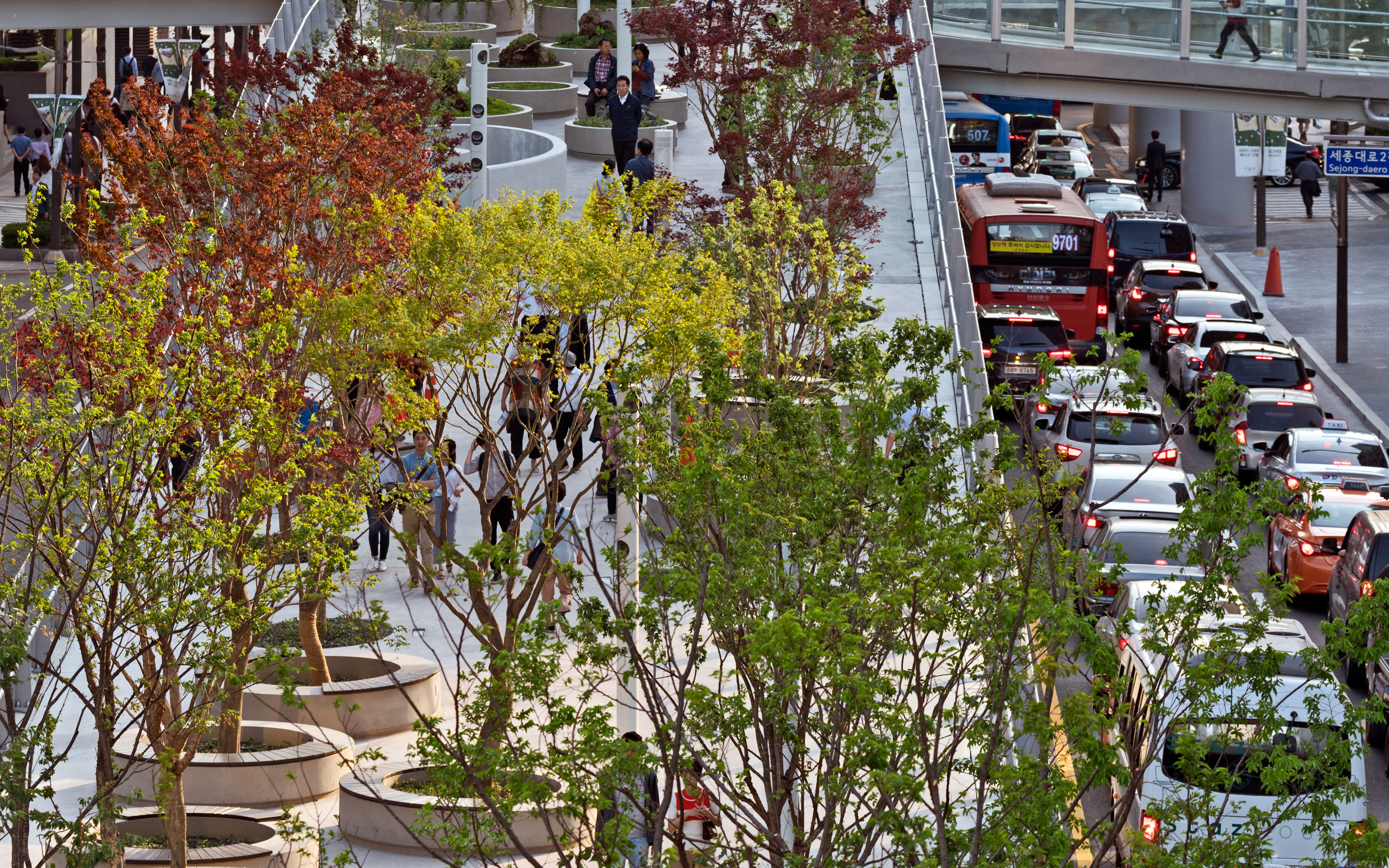 Most trees are still growing and are expected to reach their final height in the 2020s. Urban roof garden with trees in round planters